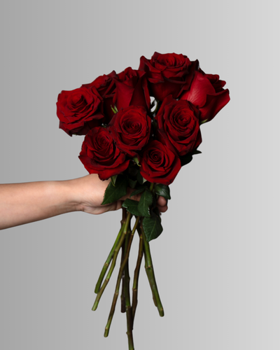 Rose Red