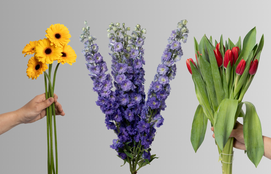 Flower Market